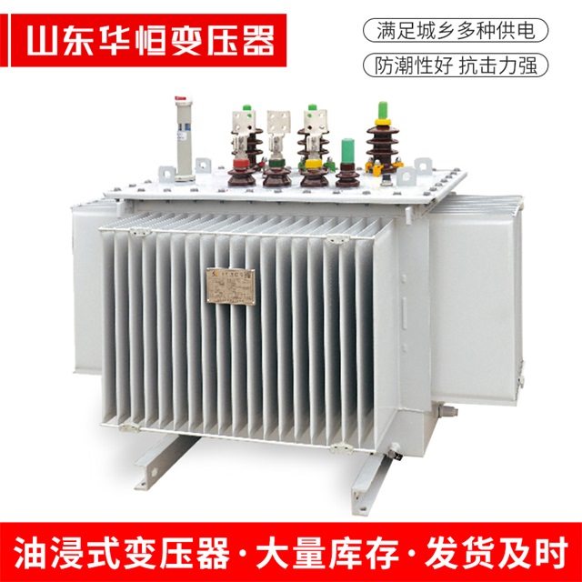 S13-10000/35天等天等天等电力变压器